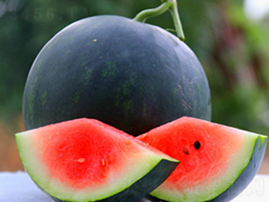 WA06-��������-�һ���ҵ
