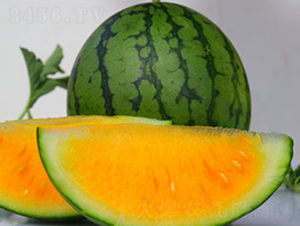 WA02-��������-�һ���ҵ