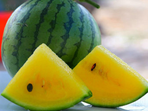 WA01-��������-�һ���ҵ