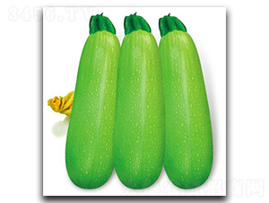 SA07-����«����-�һ���ҵ