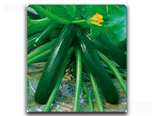 SA03-����«����-�һ���ҵ