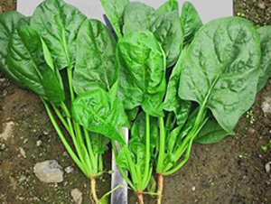 710-��������-�һ���ҵ
