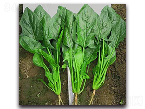 709-��������-�һ���ҵ