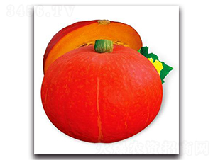 PA07-�Ϲ�����-�һ���ҵ