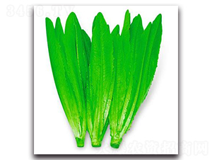LA07-��������-�һ���ҵ