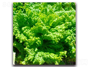 LA03-��������-�һ���ҵ