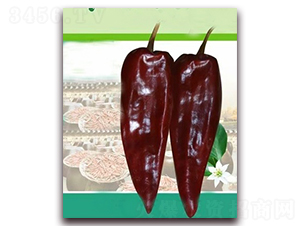 PA13-��������-�һ���ҵ