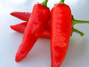 PA12-��������-�һ���ҵ