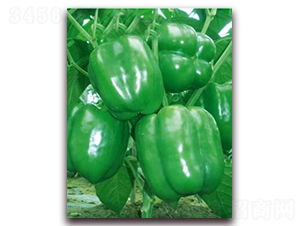 PA07-��������-�һ���ҵ