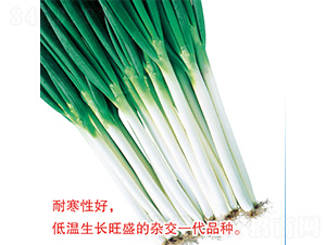 �촨���-�������-�ֶ�ũҵ