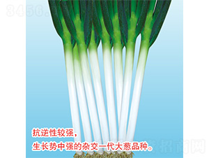 �촨����-�������-�ֶ�ũҵ