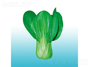 �ֶ�917-�๣������-�ֶ�ũҵ