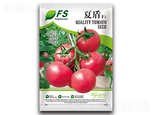 �Ķ�F1-��������-��˶��ҵ