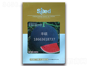 ī��K-6-��������-��˶��ҵ