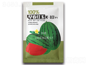 �紺����K-10-��������-��˶��ҵ