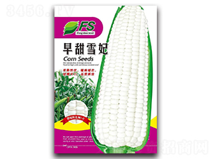 ����ѩ��-��Ŵ��������-��˶��ҵ