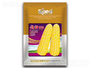 ����658-��Ŵ��������-��˶��ҵ