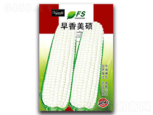 ������˶-��Ŵ��������-��˶��ҵ