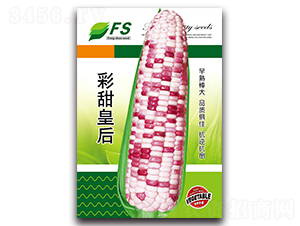 ����ʺ�-��Ŵ��������-��˶��ҵ