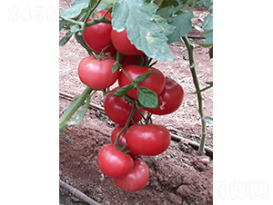 ��ά003-��������-��άũҵ