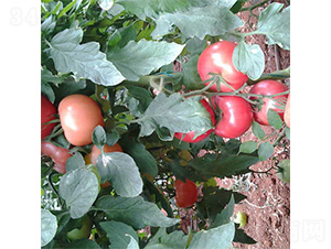 ��ά002-��������-��άũҵ