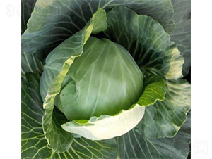 ��ά1315-��������-��άũҵ
