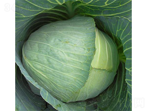 ��ά1331-��������-��άũҵ