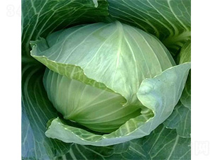 ��ά1332-��������-��άũҵ