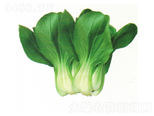 ����1104-�๣������-������ҵ