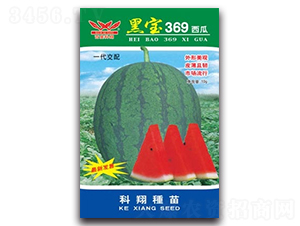 �ڱ�369����-��������-������ҵ