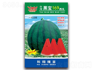 �ڱ�169����-��������-������ҵ