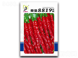 �ػ�8819�߽�-��������-�ػ�