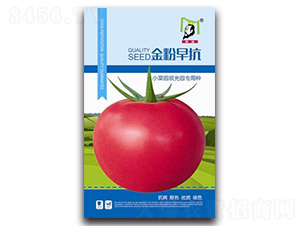 ����翹-��������-�ػ�
