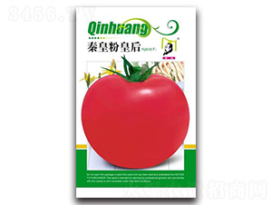 �ػʷۻʺ�F1-��������-�ػ�