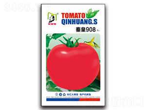 �ػ�908F1-��������-�ػ�