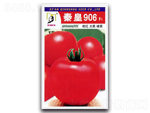 �ػ�906F1-��������-�ػ�