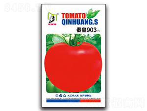 �ػ�903F1-��������-�ػ�