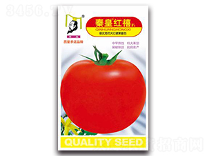 �ػʺ���F1-��������-�ػ�
