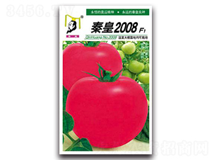 �ػ�2008F1-��������-�ػ�