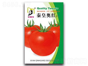 �ػʰº�F1-��������-�ػ�