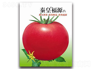 �ػʸ�ԴF1-��������-�ػ�