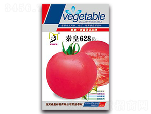 �ػ�628F1-��������-�ػ�