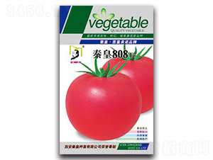 �ػ�808F1-��������-�ػ�