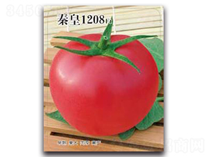 �ػ�1208F1-��������-�ػ�