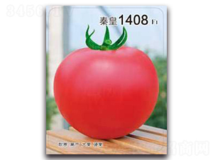 �ػ�1408F1-��������-�ػ�