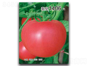 �ػ�1406F1-��������-�ػ�