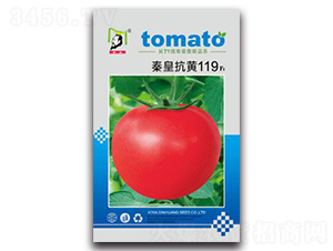 �ػʿ���119F1-��������-�ػ�