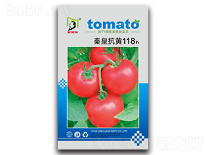 �ػʿ���118F1-��������-�ػ�
