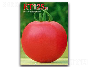 KT125F1-��������-�ػ�