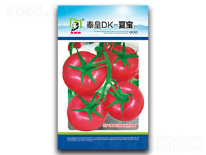 �ػ�DK-�ı�F1-��������-�ػ�